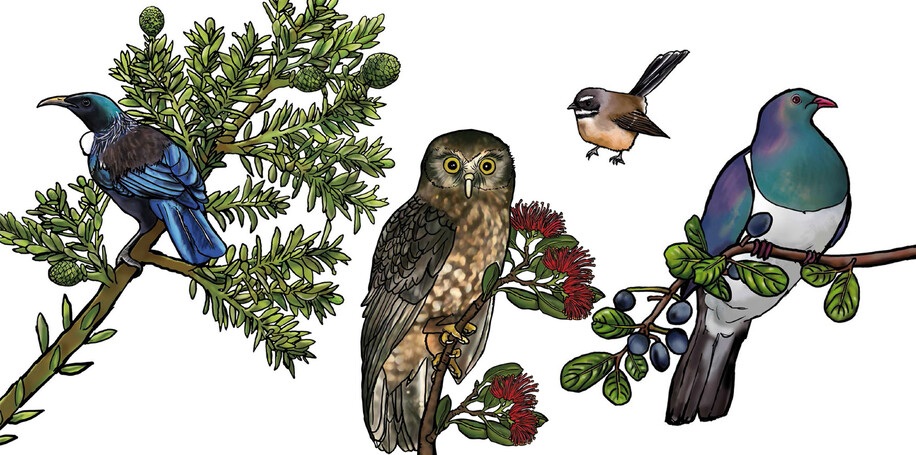 AUCKLAND CITY COUNCIL - DETAIL FROM STREAM ILLUSTRATIONS