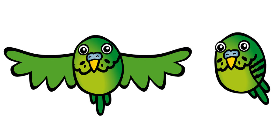 BUDGIE POWER - LOGO ILLUSTRATION